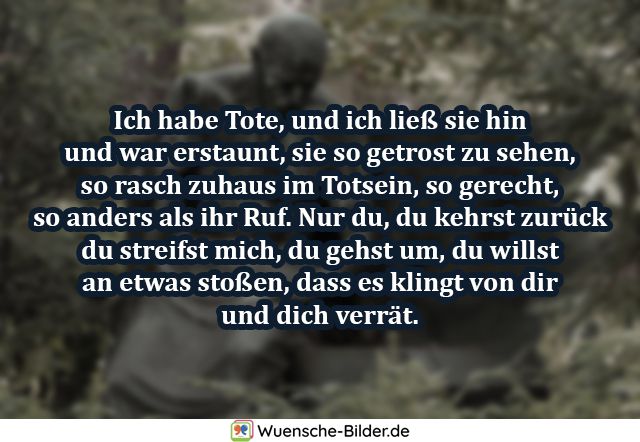 ᐅ Trauergedichte Mit Bild Zitate Und Verse Zum Thema Trauer