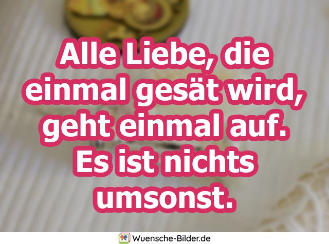 Alle Liebe, die einmal gesät