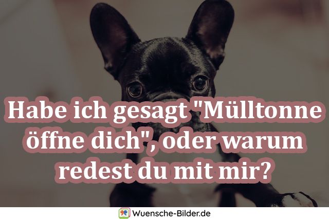 Habe ich gesagt „Mülltonne öffne