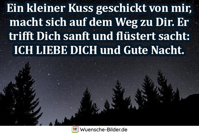 Nacht lustig gute sprüche Gute Nacht