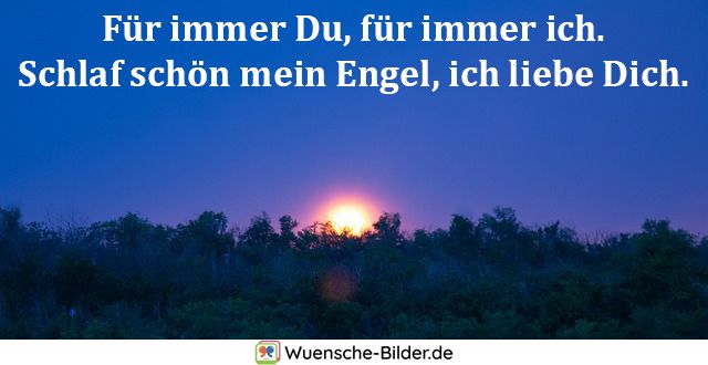 ᐅ Gute Nacht Spruche Mit Bild Lustige Spruche Schlaf Schon Gut