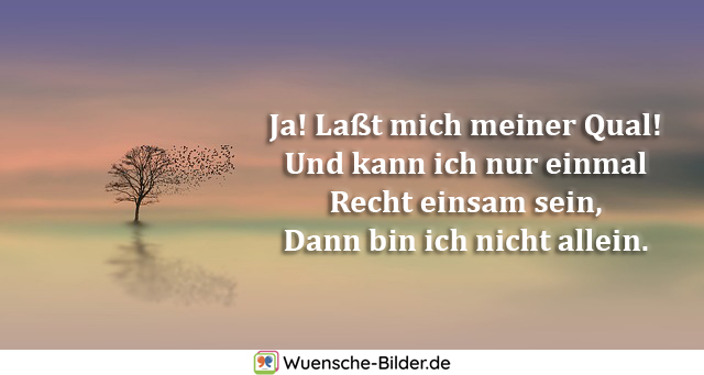 Sich zitate fühlt alleine man wenn Sich alleine