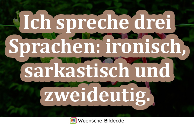 Ich spreche drei Sprachen: ironisch