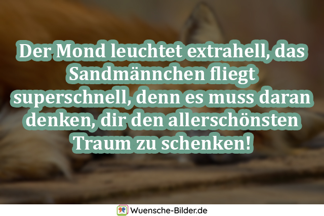 Für schatz nacht gedicht gute Gute Nacht