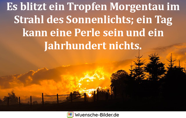 Es blitzt ein Tropfen Morgentau