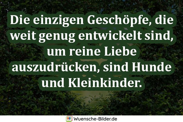 ᐅ Romantische Spruche Mit Bild Fur Sie Und Fur Ihn Romantische Zitate