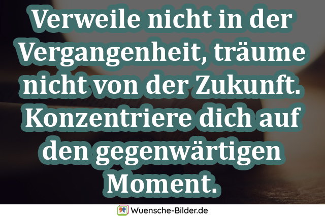 ᐅ Weise Sprüche Mit Bild Die Schönsten Weisheiten Zitate