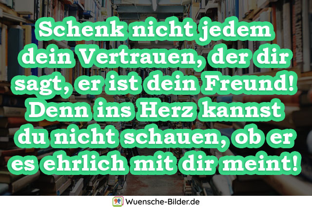 Werden sprüche ausgenutzt Missgunst: Warum