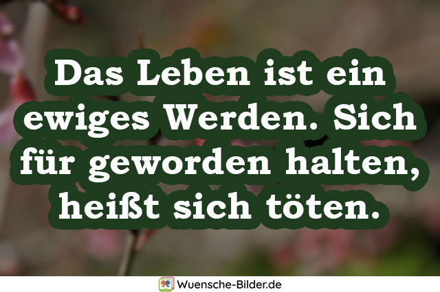 Das Leben ist ein ewiges