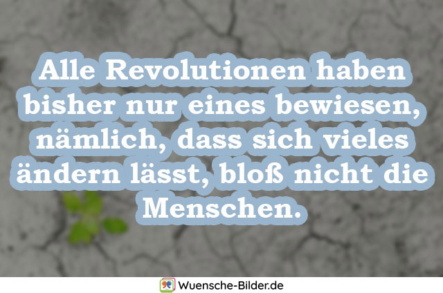 Alle Revolutionen haben bisher nur