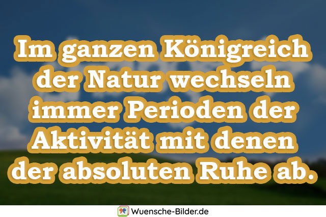 Im ganzen Königreich der Natur