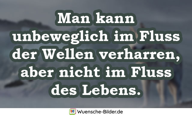 Man kann unbeweglich im Fluss