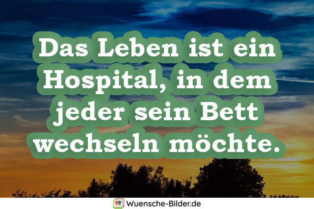 Das Leben ist ein Hospital