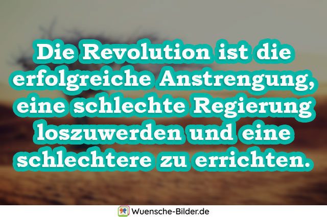 Die Revolution ist die erfolgreiche