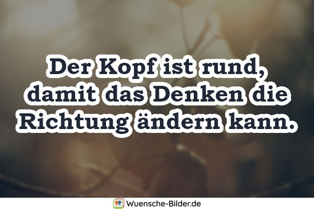 Der Kopf ist rund, damit