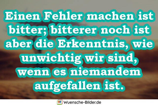 Einen Fehler machen ist bitter