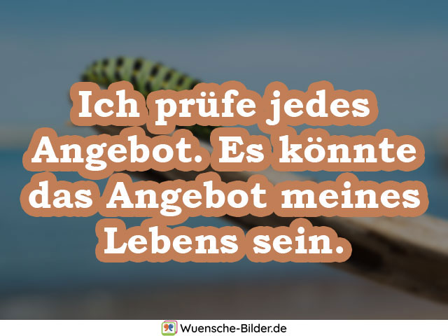 Ich prüfe jedes Angebot. Es