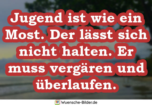 Jugend ist wie ein Most