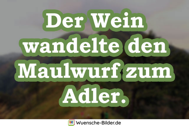 Der Wein wandelte den Maulwurf