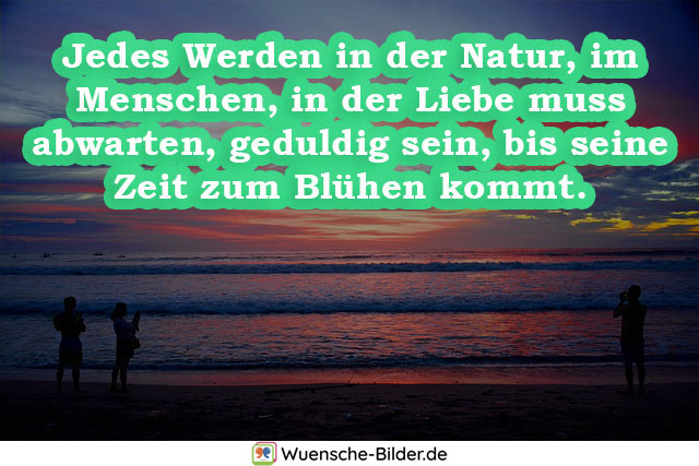 Jedes Werden in der Natur