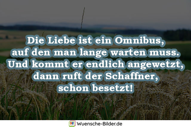 Die Liebe ist ein Omnibus,