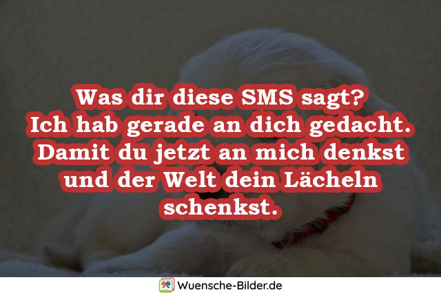 Was dir diese SMS sagt?