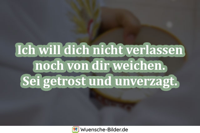 Ich will dich nicht verlassen