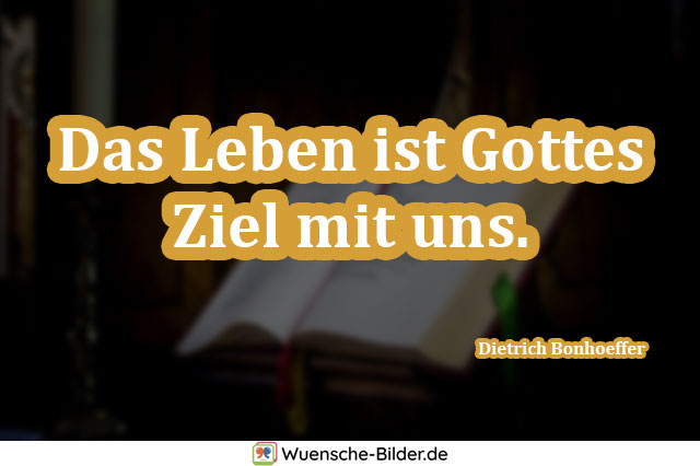 Das Leben ist Gottes Ziel